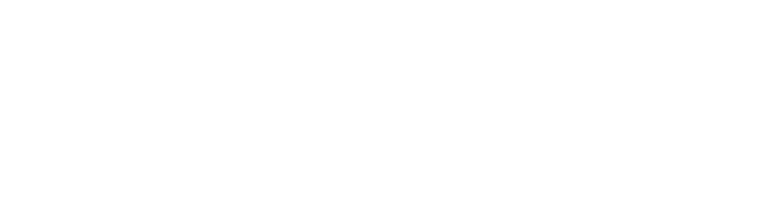 Vizoweb
